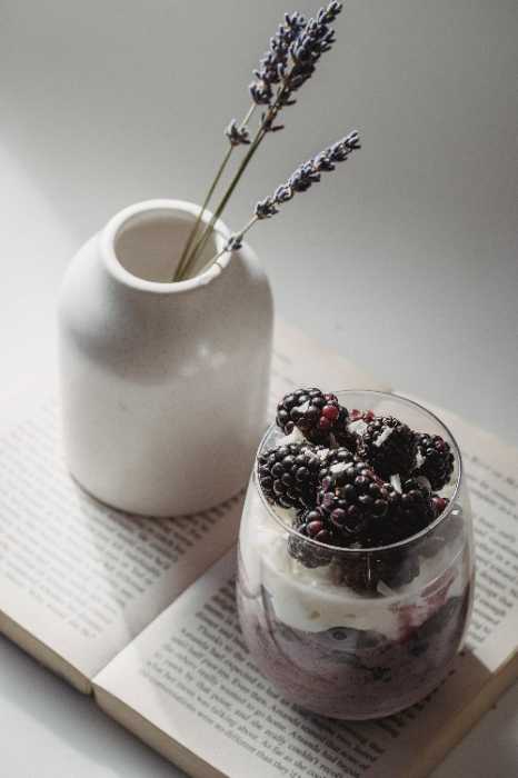 Sugar-free Snack: Yogurt with Blackberries